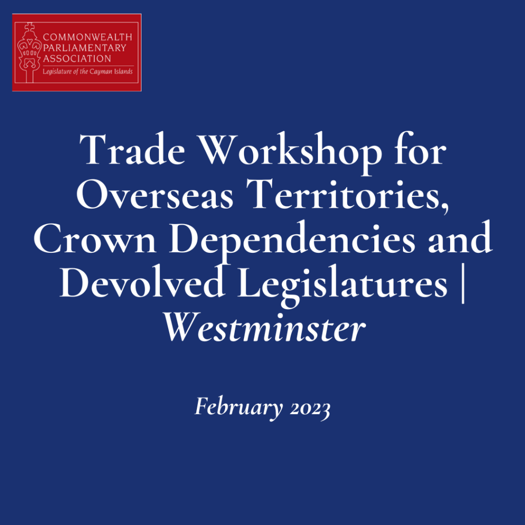 Title of the workshop in white text on blue background.